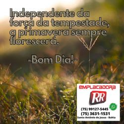 Boa quarta-feira a todos!